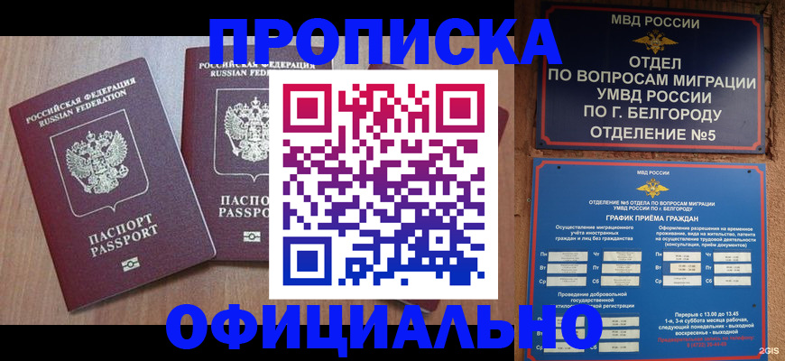 найти адрес прописки в Стародубе