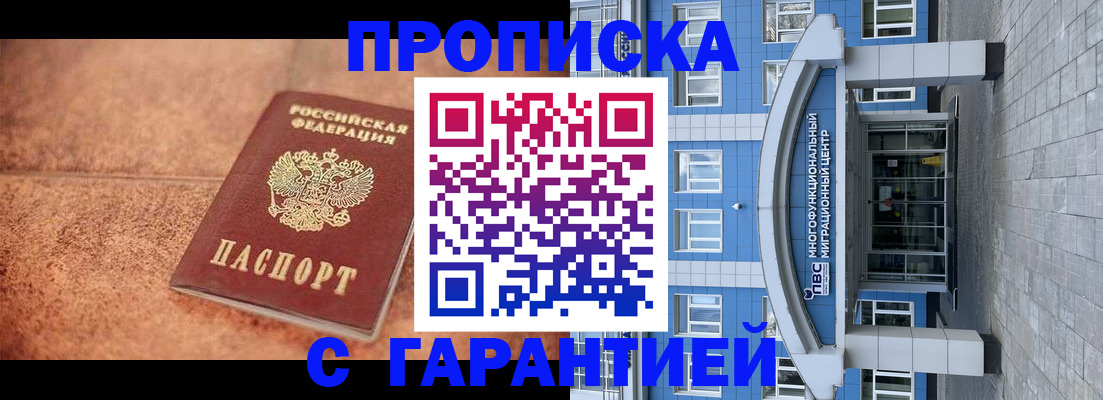 где прописаться в Стародубе